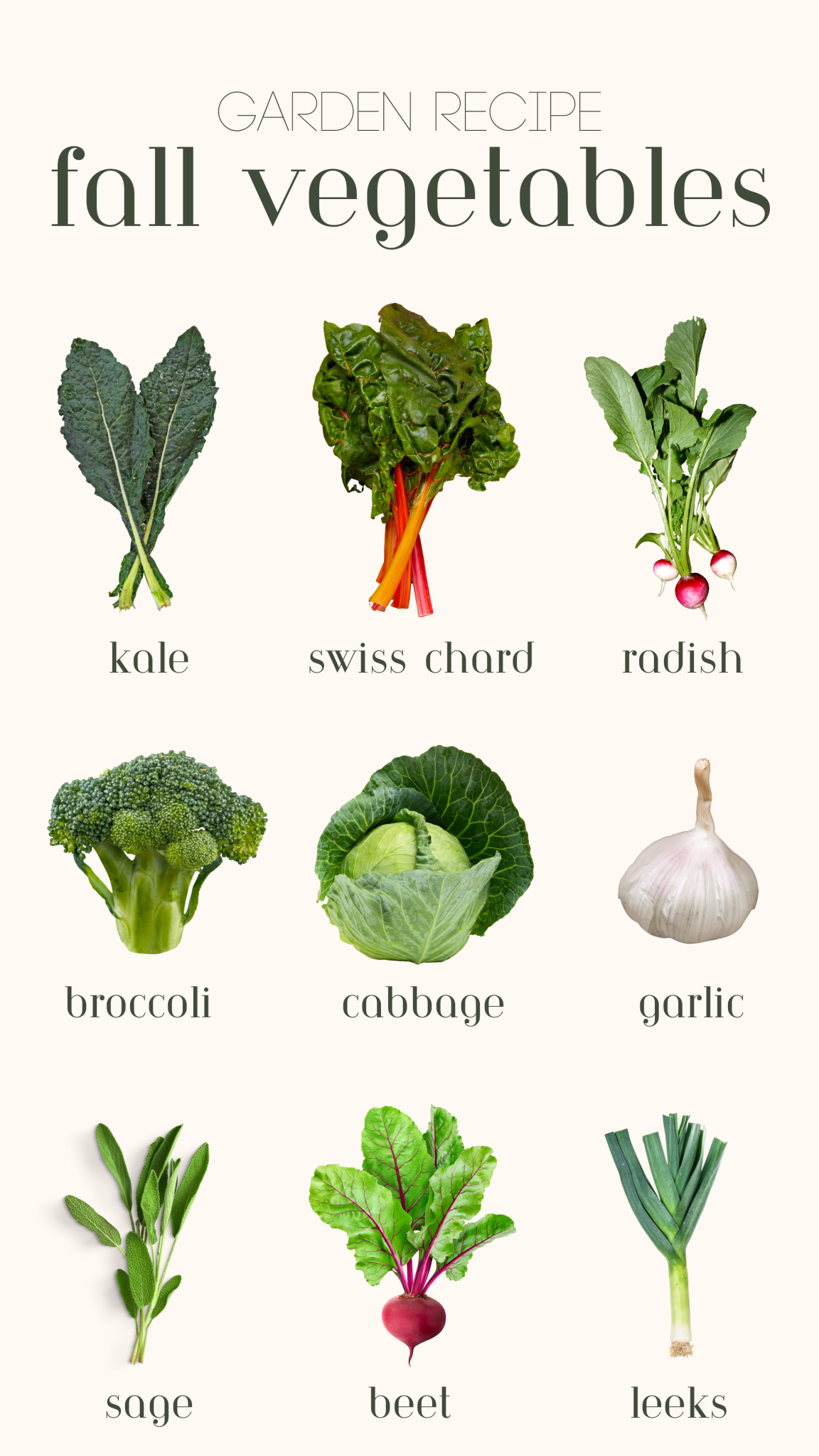 Abundant Harvest: Embrace the Season with Fall Garden Vegetables ...